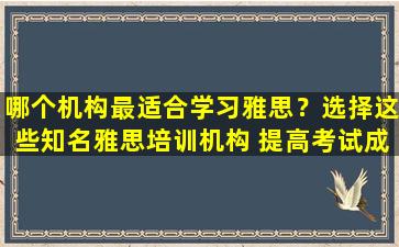 哪个机构最适合学习雅思？选择这些知名雅思培训机构 提高考试成绩唾手可得